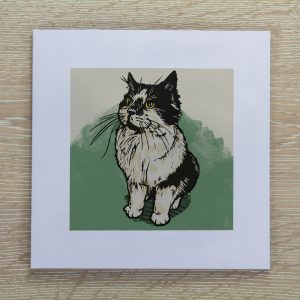 Black and white cat greetings card